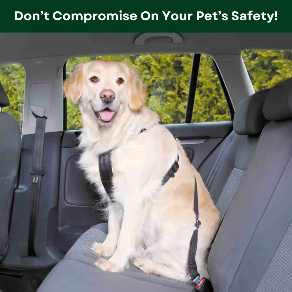 Adjustable Dog Safety Belt The Australian Essentials