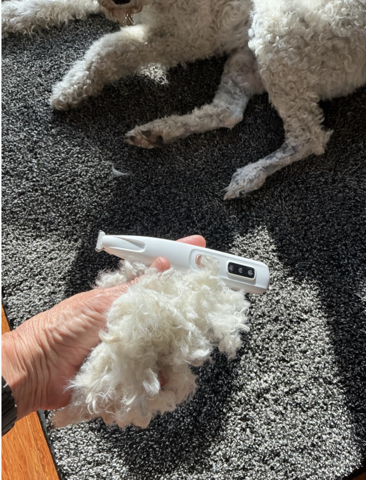 PawGroom™ – Electric Dog Trimmer