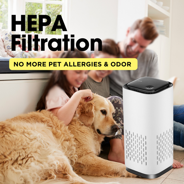 Pet Air Purifier/Filter