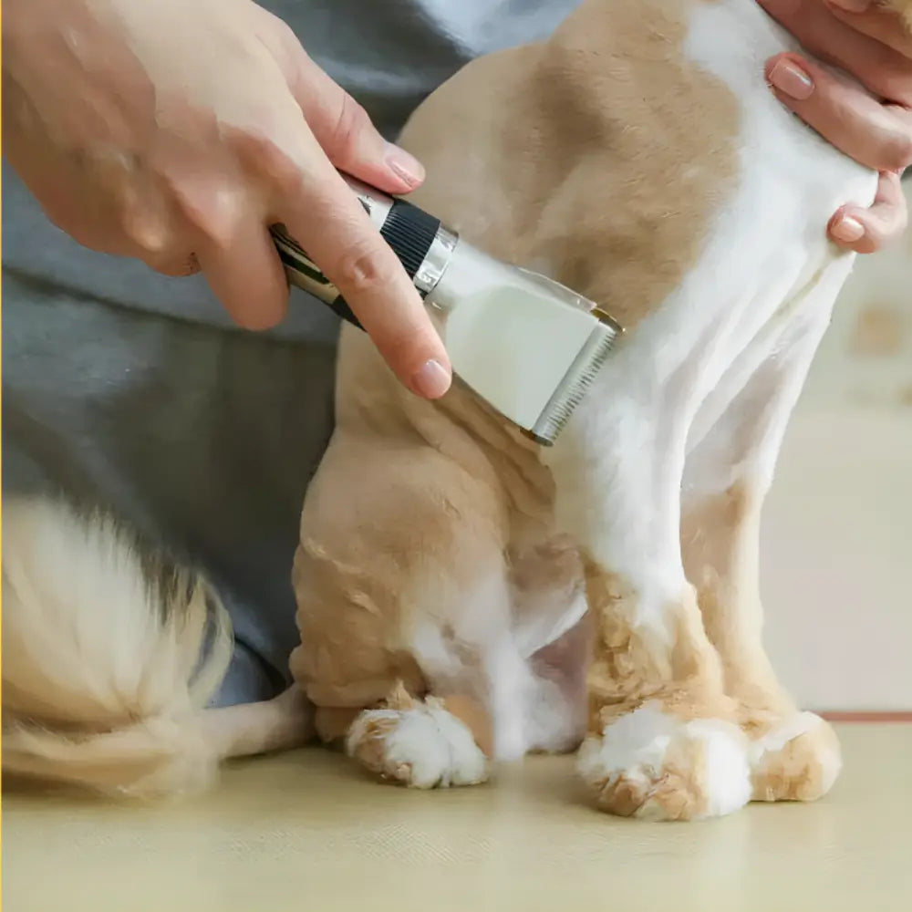 Cordless Pet Grooming Kit The Australian Essentials